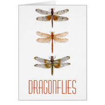 3 libellules cartes de vœux