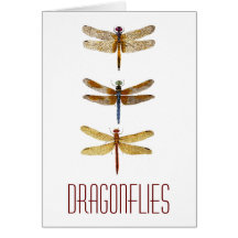 3 libellules cartes de vœux