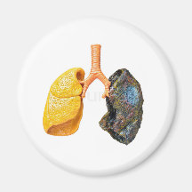 4203601-94719-smoking-kills.jpg magnets pour réfrigérateur