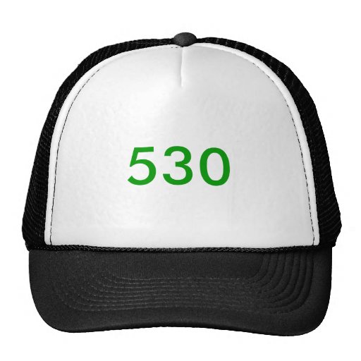 530 TRUCKERKAPPE
