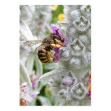 Abeille sur la carte d'ATC de ~ d'oreille d'agneau Cartes De Visite Professionnelles
