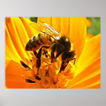 Abeille sur une fleur posters