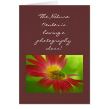 Abeille verte et cartes peintes de marguerite