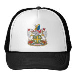 Abingdon Wappen Netzmütze