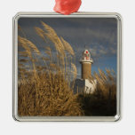 Abteilung Uruguays, Montevideo, Montevideo Ornament