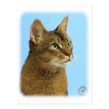 Abyssinische Katze 9Y009D-032 Postkarten