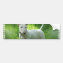 Adhésif pour pare-chocs de bull-terrier adhésifs pour voiture