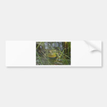 Adhésifs pour pare-chocs de grenouille de Taureau Adhésifs Pour Voiture