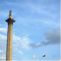 Admiral Nelson und sein Vogel