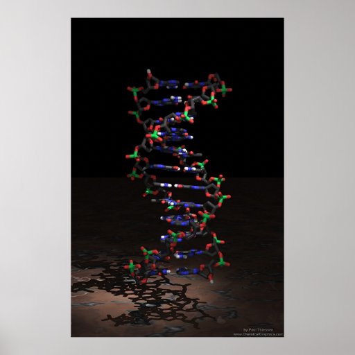 ADN dans le projecteur Poster