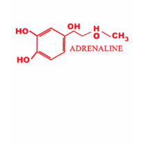 Adreneline