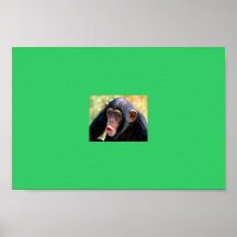 Affe Poster