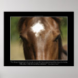 Affiche CHANCEUSE de photo de cheval de châtaigne 
