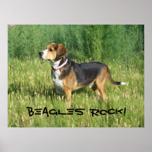 Affiche de roche de beagles comportant le tonnelie