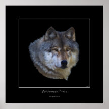 Affiche sauvage d'art de loup gris