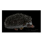 AFRIKANISCHER PIGMY-IGEL VISITENKARTENVORLAGEN