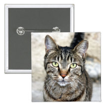 Ägyptische Katze Anstecknadelbuttons