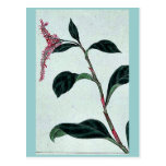 AI (indigo) Ukiyo-e. Cartes Postales