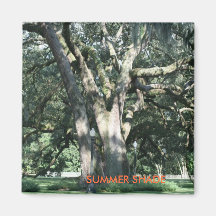 Aimant de saison d'OMBRE d'ÉTÉ