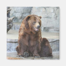 Aimant d'ours gris