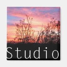 Aimant du studio 2x2 d'ours