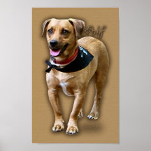 Alf der lustige Hund Plakatdrucke