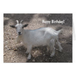 Alles Gute zum Geburtstag! karten