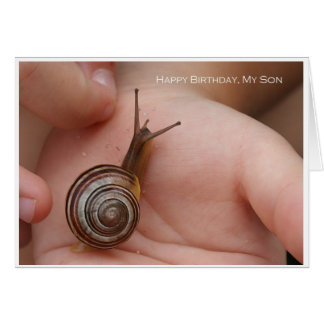 alles gute zum geburtstag kleiner bruder