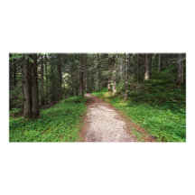 alpiner Wald Bild Karte