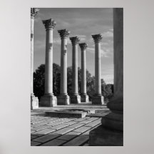Alte Kapitol-Spalten B&W Plakatdrucke
