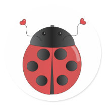 amberbug