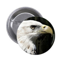 Américain Eagle Badges
