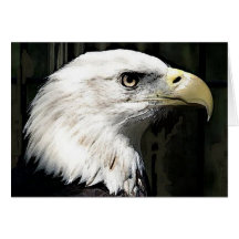 Amerikaner Eagle Karte