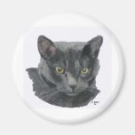 Amerikaner Shorthair Katzen-Magnet Magnete
