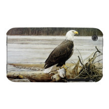 Amerikanischer Weißkopfseeadler iPhone 3 Hülle