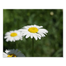 -Amours d'amours je non épreuve photographique 10 
