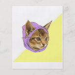 Animal Meme de conseil de chat de Kitty de hippie Prospectus Personnalisés