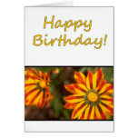 Anniversaire floral 2 cartes de vœux