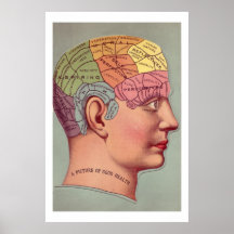 Antikes Phrenologiekopf Plakat