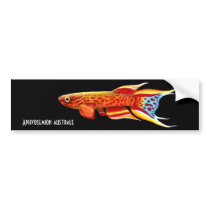 Aphyosemion Australe Killifish-Autoaufkleber