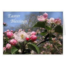 Apple-Blüten bei Ostern Grußkarten