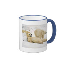 Après ours de dîner mug à café