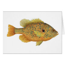 Aquarelle de Sunfish de Pumpkinseed Carte