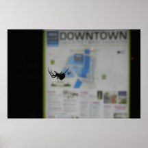 Araignée du centre posters