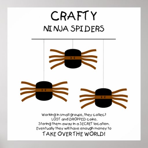 Araignées de Ninja ! Affiches