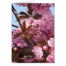 Arbre de Blossum de cerise Carte De Vœux