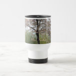 arbre de fleurs de cerisier de ressort tasses à café