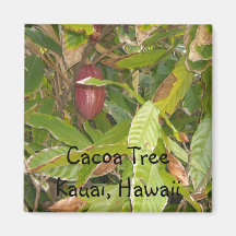 Arbre Kauai, Hawaï de Cacoa Aimant Pour Réfrigérateur