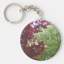 Arbres Porte-clefs