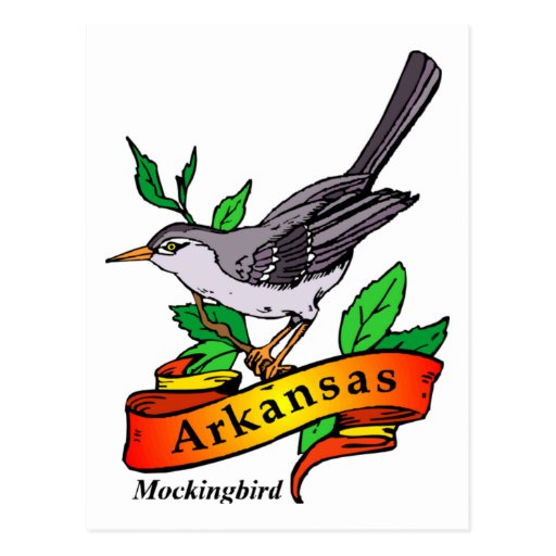 Arkansas-Spottdrossel Postkarten